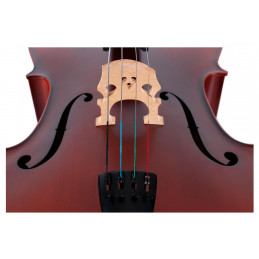 Classic Cantabile Brioso Cello Set 4/4