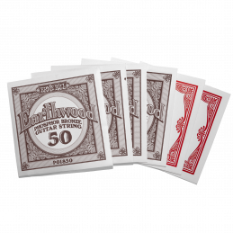 Ernie Ball 2150 EARTHWOOD Phosphor Bronze 010 - 050