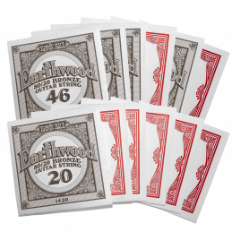 Ernie Ball 2010 EARTHWOOD 12-STRING LIGHT