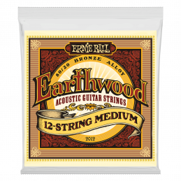 Ernie Ball 2012 EARTHWOOD 12-STRING MEDIUM