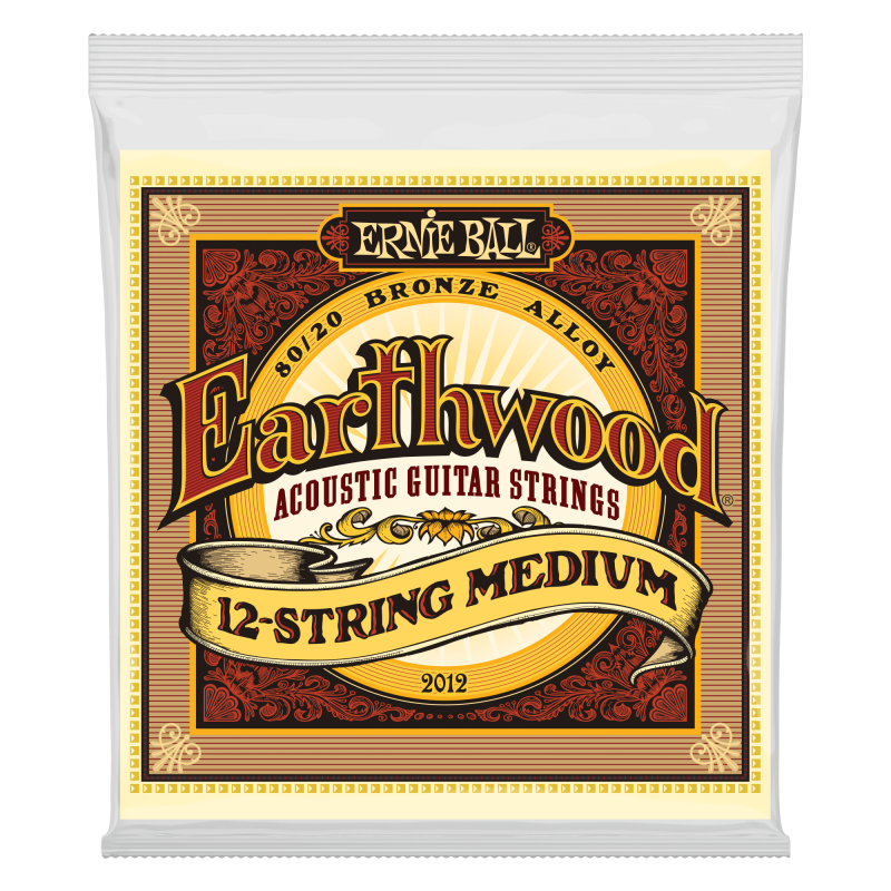 Ernie Ball 2012 EARTHWOOD 12-STRING MEDIUM