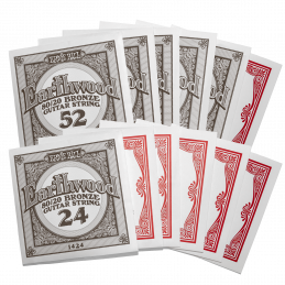 Ernie Ball 2012 EARTHWOOD 12-STRING MEDIUM