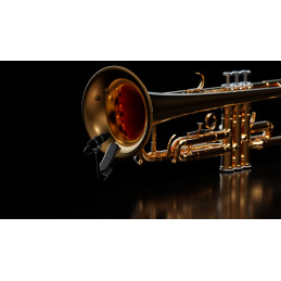 DPA 4099-DP-1-101-CM