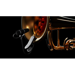 DPA 4099-DP-1-101-CM