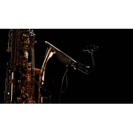 DPA 4099-DP-1-101-CM