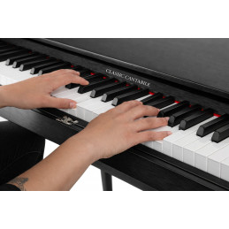 Classic Cantabile DP-730 SM