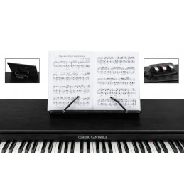 Classic Cantabile DP-730 SM