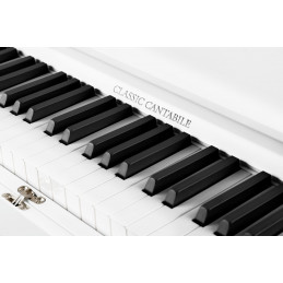 Classic Cantabile DP-730 WL