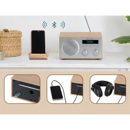 Bennett & Ross DAB-258 NT Vikedal