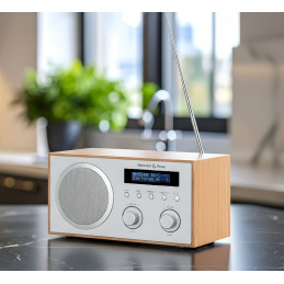 Bennett & Ross DAB-258 NT Vikedal