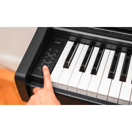 Kawai CX202B