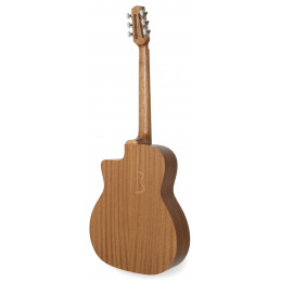 APC JM100