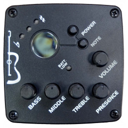 APC WG100 CW elektroakustická kytara