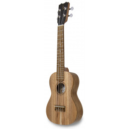 APC CS Ukulele Concerto Simples