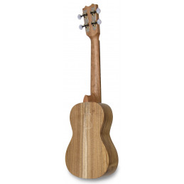 APC CS Ukulele Concerto Simples