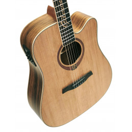 Gilmour Woody CEQ