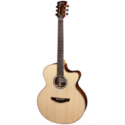 Faith HiGloss Jupiter Cutaway