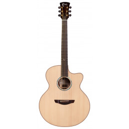 Faith HiGloss Jupiter Cutaway