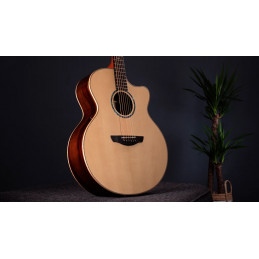Faith HiGloss Jupiter Cutaway