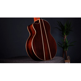 Faith HiGloss Jupiter Cutaway