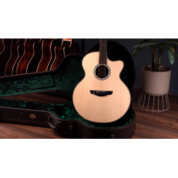 Faith HiGloss Jupiter Cutaway