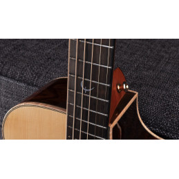 Faith HiGloss Jupiter Cutaway