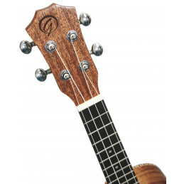Gilmour Ukulele OVA Concert