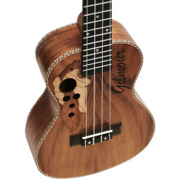 Gilmour Ukulele OVA Concert
