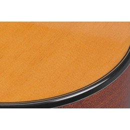 Ibanez GA3-OAM