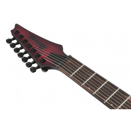 Ibanez RGD721FA-WUF