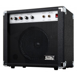 Soundking AK10-G