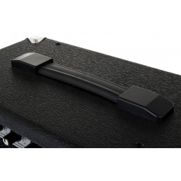 Soundking AK10-G