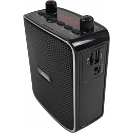 AudioDesign PA VOCE W/WL PRO