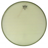 Remo Ambassador Renaissance 13" RA-0013-SS