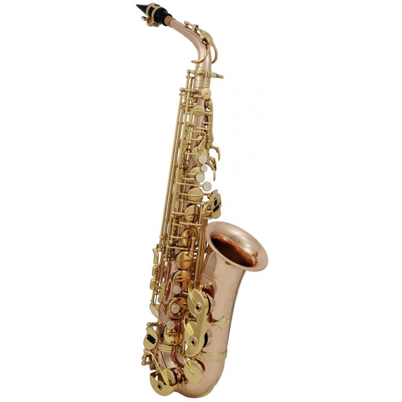 Eb-Alt Saxofon Roy Benson AS-202G AS-202G