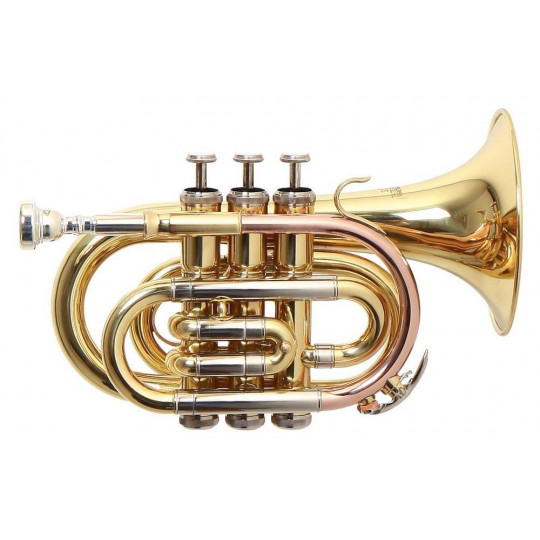 Bb – kapesní trumpeta Roy Benson PT-302 PT-302