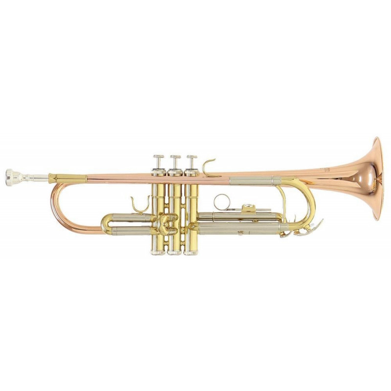 Bb-trumpeta Roy Benson TR-202G TR-202G