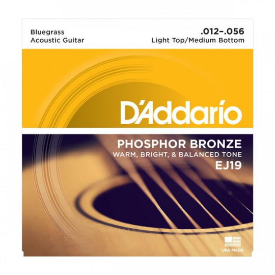 D'Addario EJ19