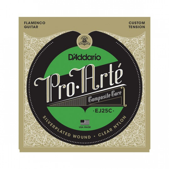 D'Addario EJ25C