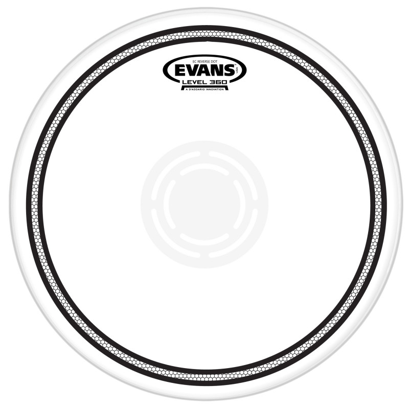 EVANS 13" EC1 REV DOT