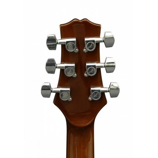 Ashton  D20 TSB  - kytara dreadnought