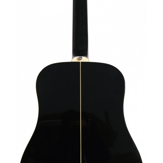 Ashton  D25/12 BK  - 12-ti strunná kytara