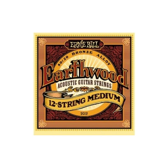 Ernie Ball 2012 EARTHWOOD 12-STRING MEDIUM