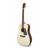 APC WG100 Acoustic Guitar