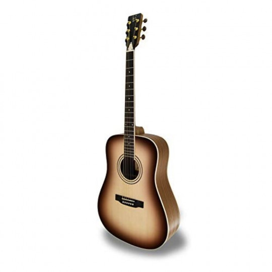 APC WG100 SB Acoustic Guitar