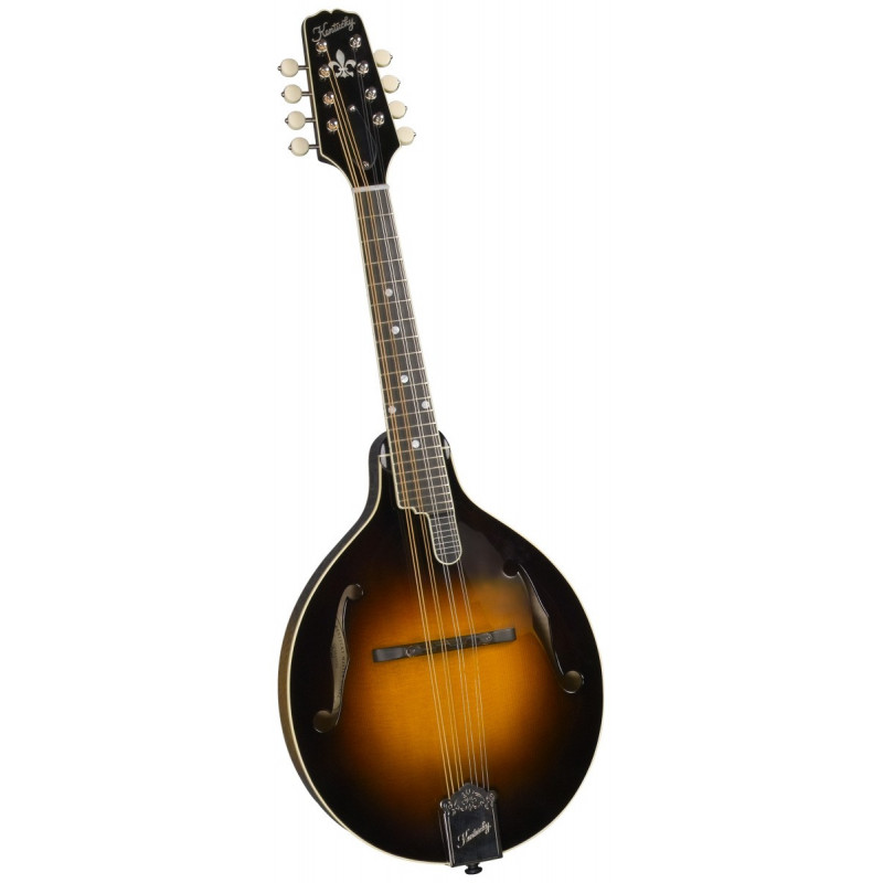 Kentucky KM-950 mandolína