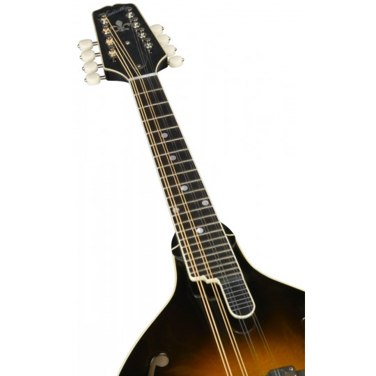 Kentucky KM-950 mandolína