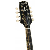 Kentucky KM-950 mandolína