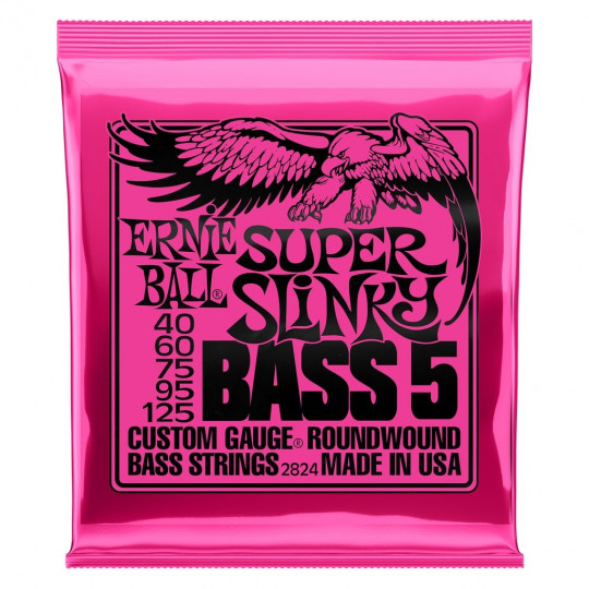 Ernie Ball 2824