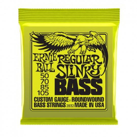 Ernie Ball 2832